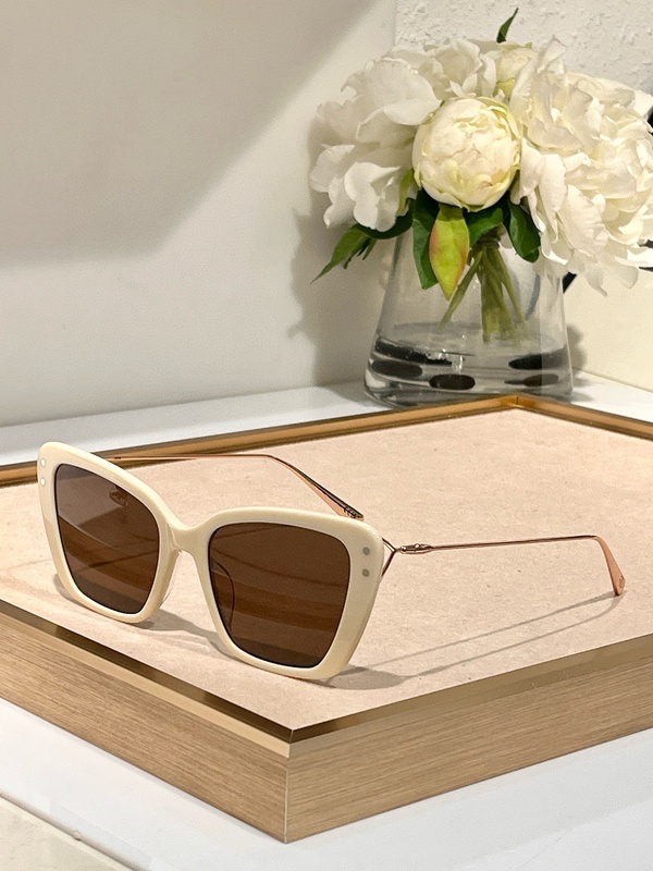 DIOR Sunglasses 14